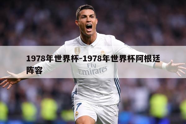 1978年世界杯-1978年世界杯阿根廷阵容